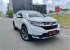 2019 Honda CR-V Prestige Prestige VTEC SUV-15