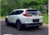2019 Honda CR-V Prestige Prestige VTEC SUV-7